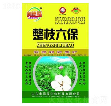 ��֦����-�W�¸�