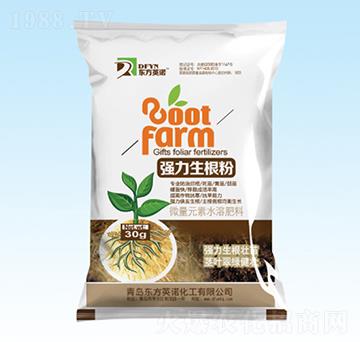 ����������-�|��Ӣ�Z