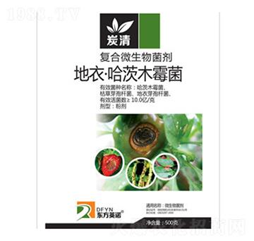 ���¡�����ľù��-̿��-�|��Ӣ�Z