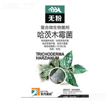 ����ľù��-�o(w��)��-�|��Ӣ�Z