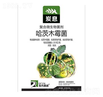 ����ľù��-̿Ϣ-�|��Ӣ�Z