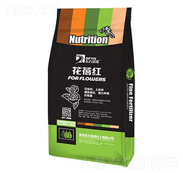 �����t�_ʩ����-�|��Ӣ�Z