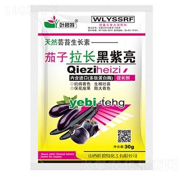 �������L(zh��ng)������-�~����