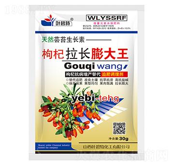 ������L(zh��ng)�����-�~����