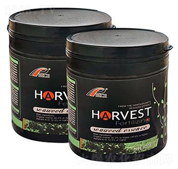 ����ʩ�S��Ȼ�������Ｄ