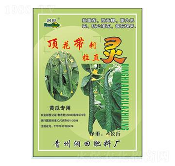 픻�������ֱ�`-��(r��n)���