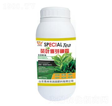 ���~��ѿ��¶-��(r��n)�����