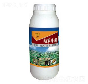 ���݌�(zhu��n)���~���-��(r��n)���