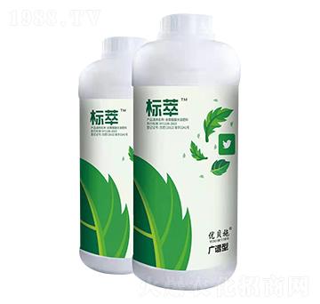 ���ͣ��V�V�ͣ�-��(y��u)ؐʩ