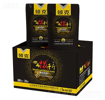 �ăɓ�ǧ��-�I(l��ng)��-(li��n)��(chu��ng)����