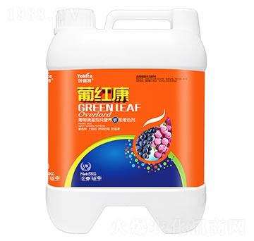 �ϼt��-�~����