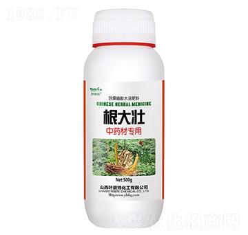 ��ˎ�Č���-�����-�~����