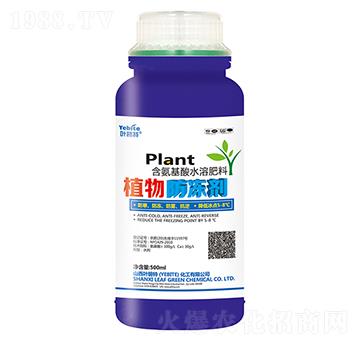 500mlֲ�������-�~����