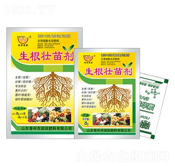 �������焩A+B-��(r��n)��