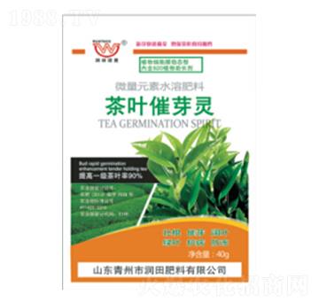 ���~��ѿ�`-��(r��n)�����