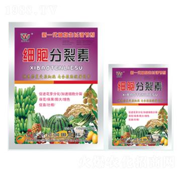 ������-��(r��n)�����