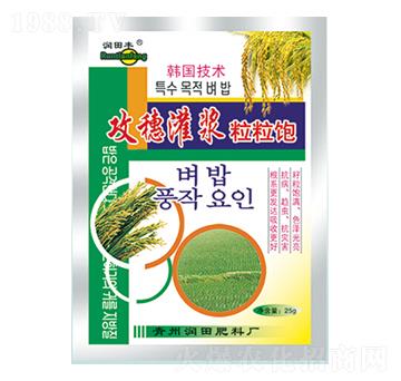 ������{�����-��(r��n)�����