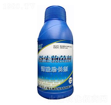 �{(di��o)�����L(zh��ng)΢�������-�|֮¡