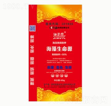 ��������Դ-�(y��ng)�⻯��