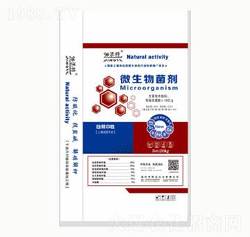 ���b΢�������-�(y��ng)�⻯