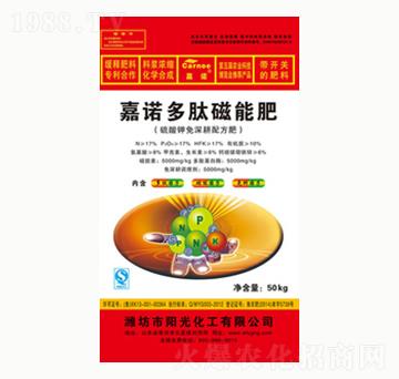 ���Z���Ĵ��ܷ�-�(y��ng)�⻯