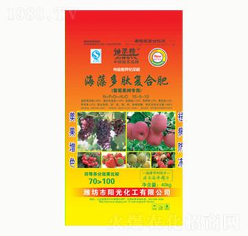 ������ď�(f��)�Ϸ�-�(y��ng)�⻯