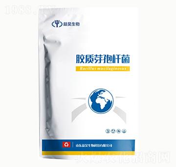 �z�|(zh��)ѿ�ߗU��-�������