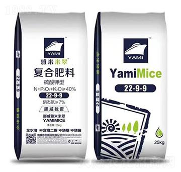 ������͏ͺϷ���22-9-9-�����״�