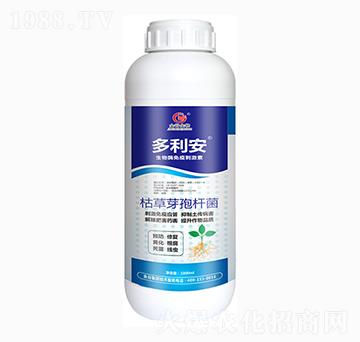 �ݲ�ѿ�ߗU��-������-�������