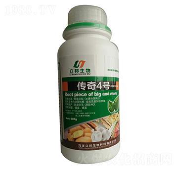 ����4̖-��������