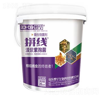 2�|΢�������-����-�n�r(n��ng)