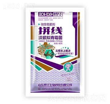 ���ϔM��ù��-ƴ��(xi��n)-�n�r(n��ng)