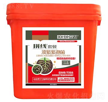 �������߾�-ƴ��(xi��n)�ײ�-�n�r(n��ng)