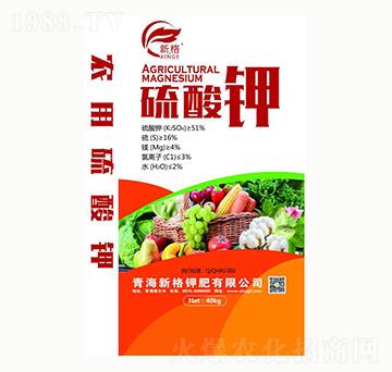 �����-40kg-�¸�