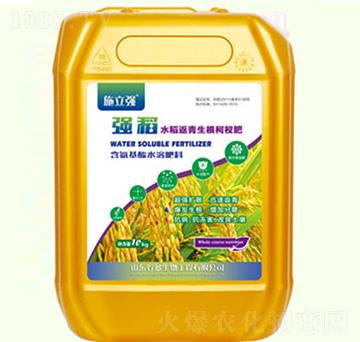 �������������辷�-������S