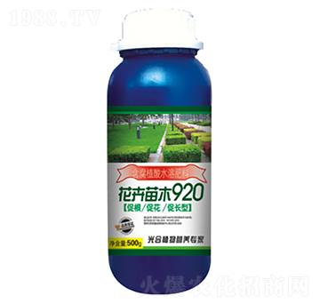 ������ľ920-�r��