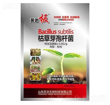 �ݲ�ѿ�ߗU��-�S�ϰ�-�r��