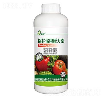 �������������-��ɵ�-���w�~��