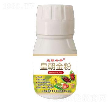 �ʳ����-�ʼڵ۹�