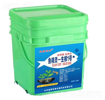 �~���`-����1̖-�ʼڵ۹�