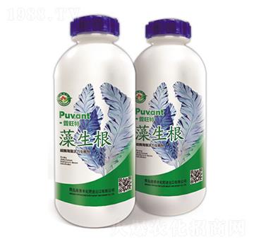 ̼ø�������������-������-������-�W���S