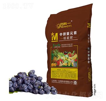 ��΢��Ԫ�ع��ܷ�-�Qһ