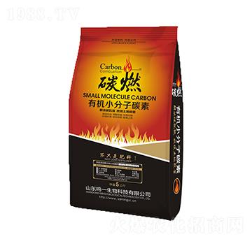 �ЙCС����̼��-̼ȼ������-�Qһ