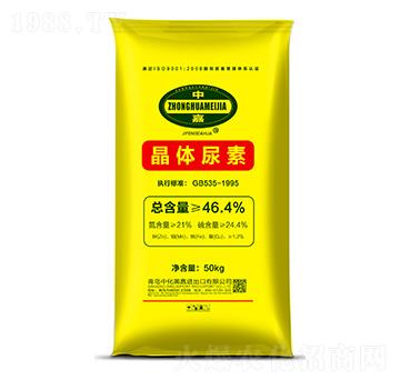 ���w����-�л�����