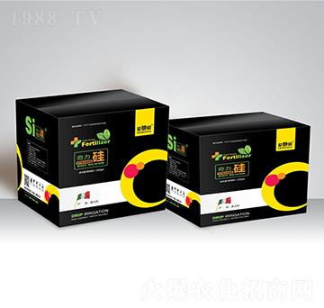 ������-�ɵض�-��ؐ��