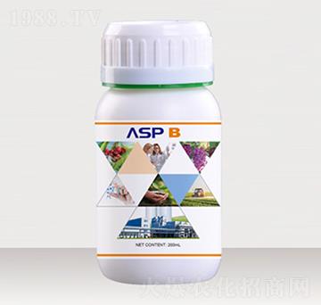 �����Ǵ���-��ؐ��