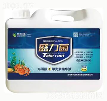 ʢ����-��혻���