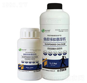 �~�z���đҸ��}-����