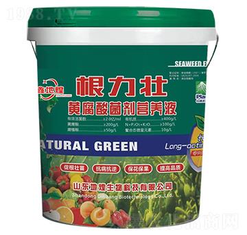 �S��������I(y��ng)�B(y��ng)Һ-������-�ػ�����