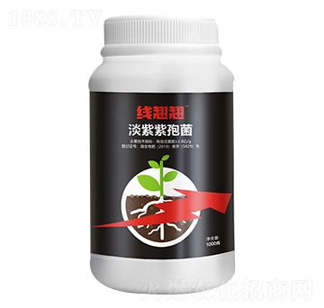 �������߾�-��(xi��n)�N�N-��(��i)���_(d��)